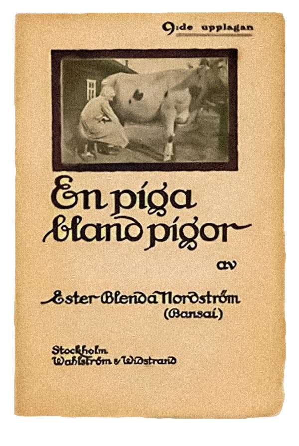 Ester Brenda Nordström bok. Ester Brenda Nordström bok.